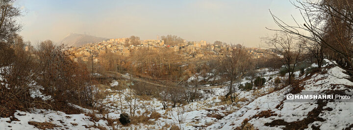 بازدید نخبگان و معتمدین محلات از پروژه های عمرانی منطقه ۵