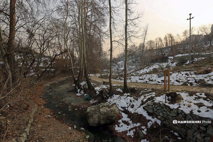 بازدید نخبگان و معتمدین محلات از پروژه های عمرانی منطقه ۵