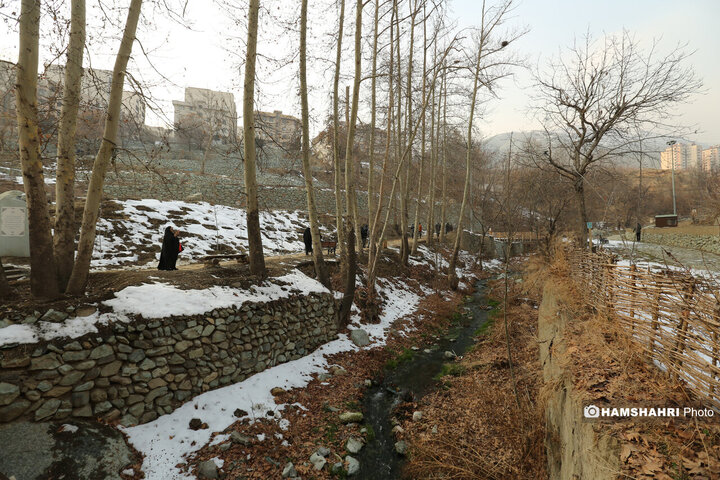 بازدید نخبگان و معتمدین محلات از پروژه های عمرانی منطقه ۵