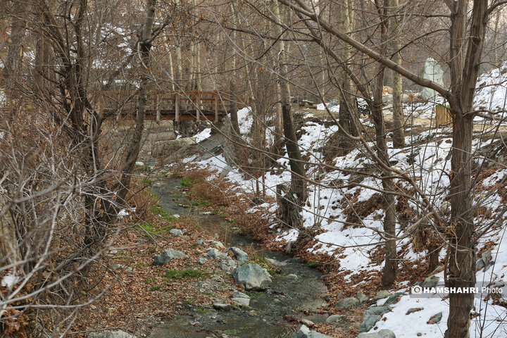 بازدید نخبگان و معتمدین محلات از پروژه های عمرانی منطقه ۵