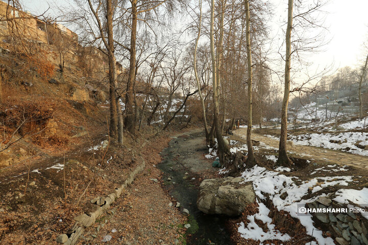 بازدید نخبگان و معتمدین محلات از پروژه های عمرانی منطقه ۵