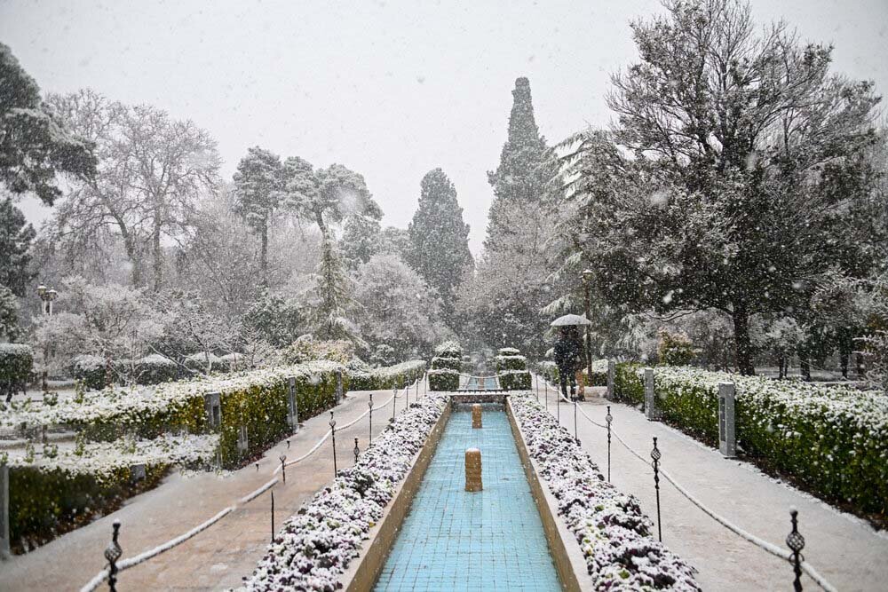 برف در شيراز