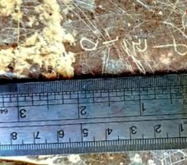 این کتیبۀ ساسانی درباره یک جشن در ماه دی است | عکس