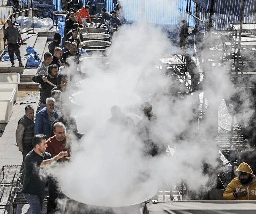 نبض آرام زندگی