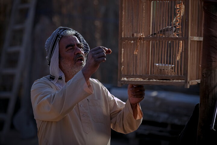 چهره سعید آقاخانی و سروش صحت را در جشنواره امسال ببینید