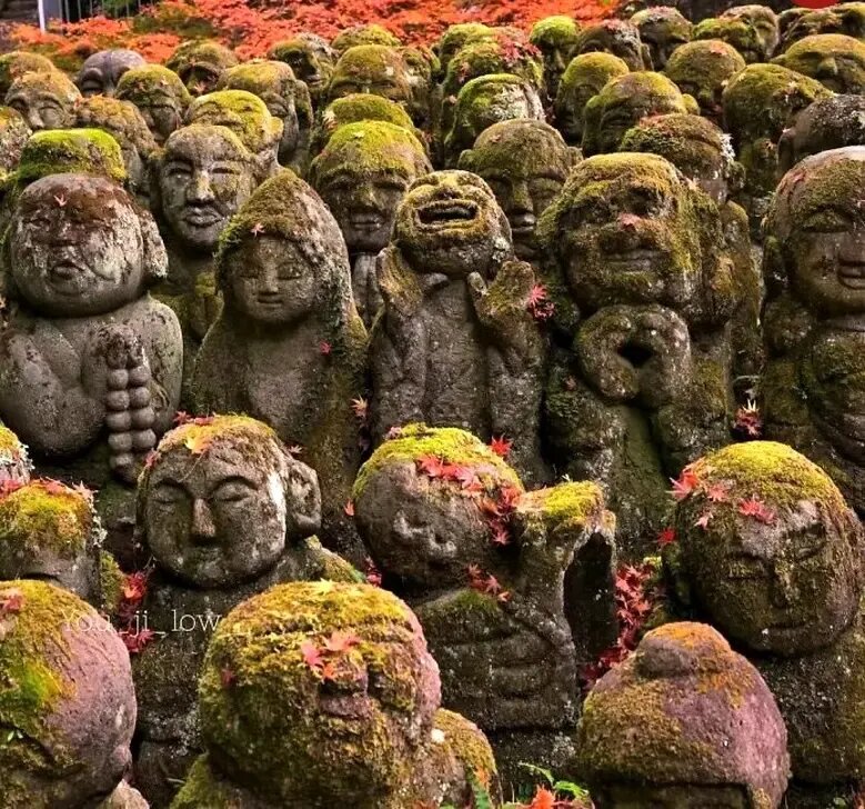 مجسمههای خلاقانه و اعجابانگیز از سراسر دنیا | عکس