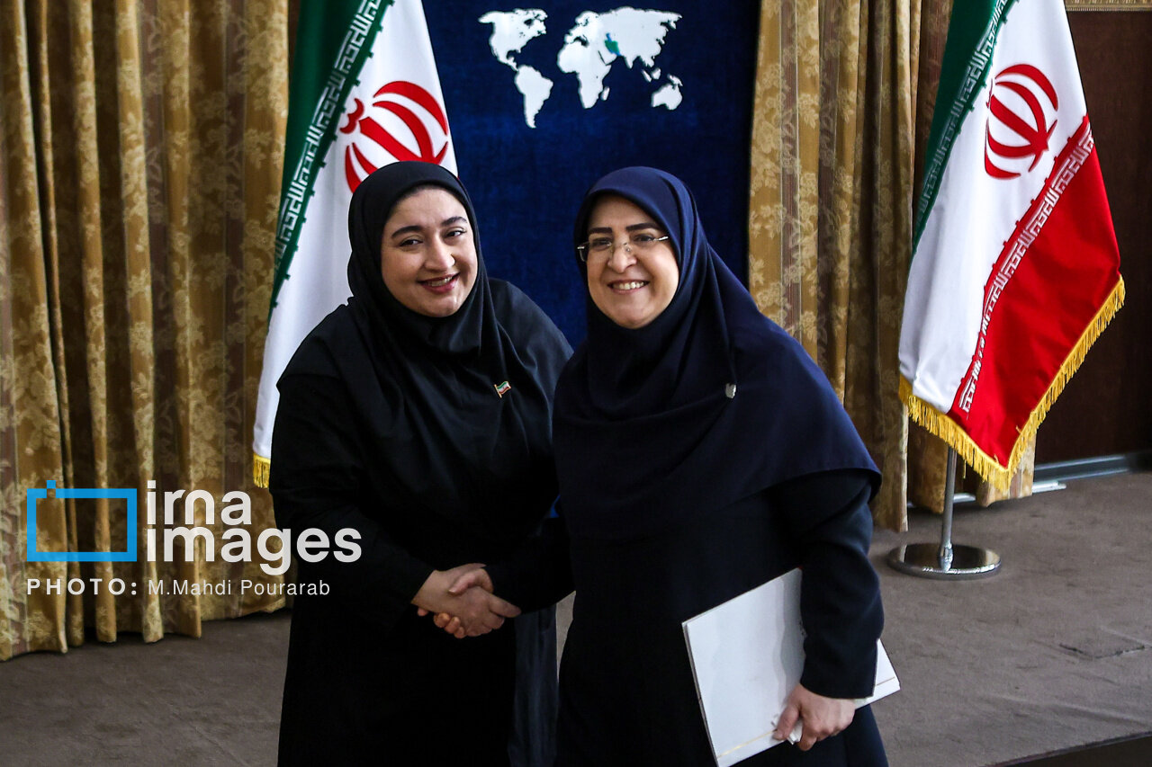 قاب های متفاوت از سخنگوی دولت در نشست امروز | تصاویر