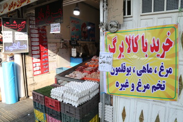 یارانه‌ای که دوباره به سفره برگشت | گزارش میدانی از تجربه خرید مردم با کالابرگ