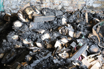 آتش به جان کتاب‌ها