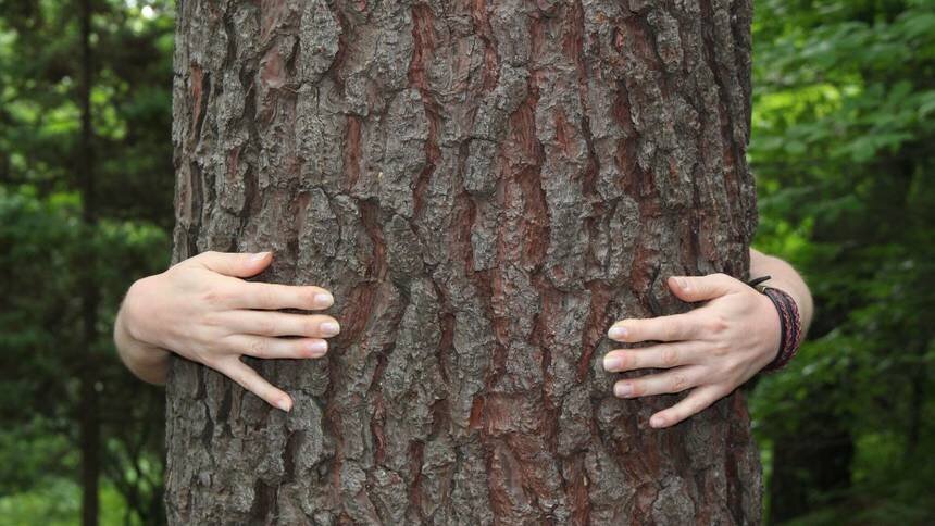 روایت جالب بغل کردن درخت امامزاده توسط خانم بازیگر در کودکی! 