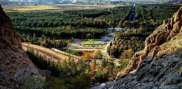 دختری که گوشواره هایش را فروخت تا جنگل متولد شود | قصه یک جنگل دست‌ کاشت در کرمان