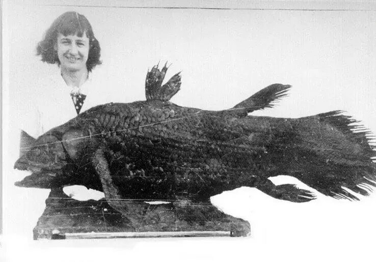 کشف هیولایی که تصور می‌شد میلیون‌ها سال قبل منقرض شده است | عکس