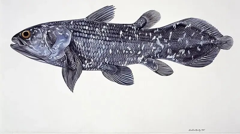 کشف هیولایی که تصور می‌شد میلیون‌ها سال قبل منقرض شده است | عکس