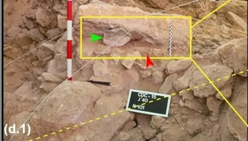 کشف غاری ۴۳ هزار ساله پر از جمجمه حیوانات! | عکس