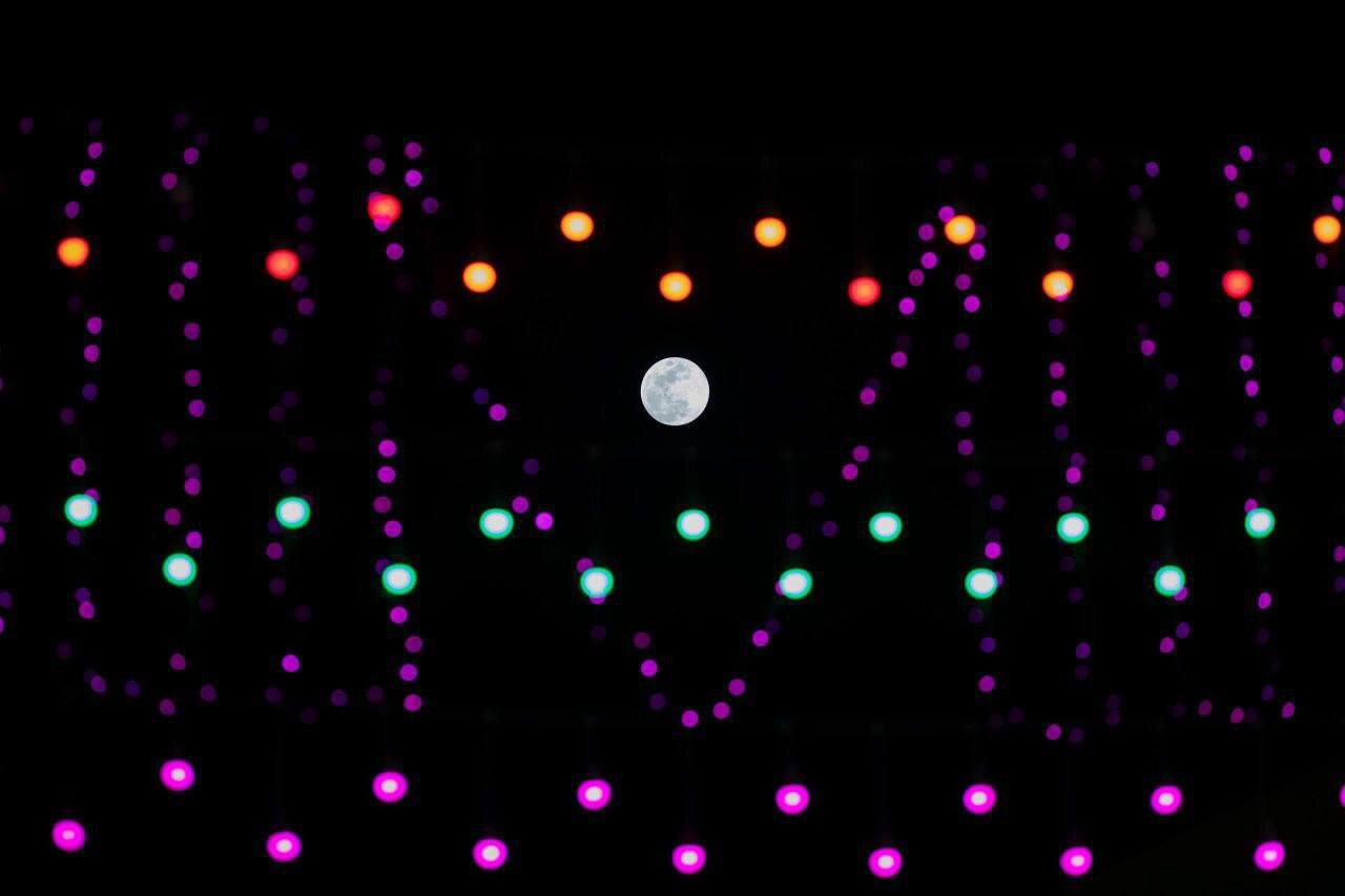 حال و هوای بین الحرمین کربلا در آستانه ولادت امام مهدی (عج) | تصاویر