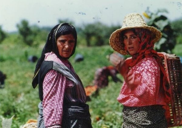 جای خالی فیلم سازان زن آزار دهنده است