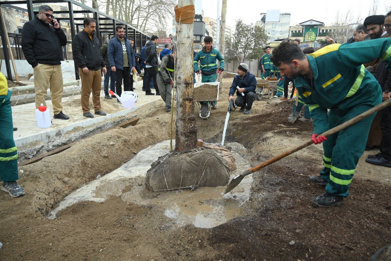 بازپیرایی میدان تجریش