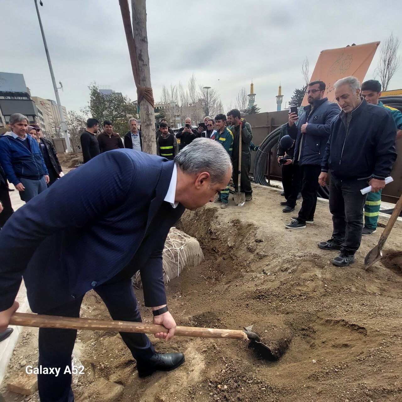 میهمانی چنارها در شمال پایتخت