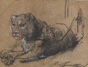 شیر ۱۸ میلیون دلاری! | ببینید