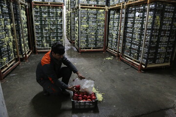 تهران تا ۳ ماه آینده مملو از کالاهای اساسی است