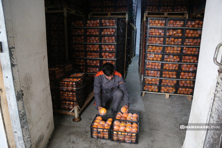 آغاز توزیع اقلام رمضانی