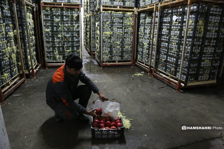 آغاز توزیع اقلام رمضانی