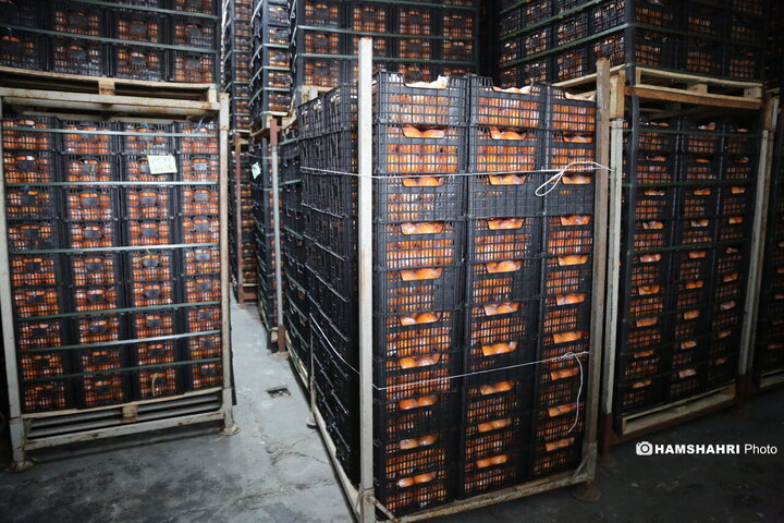 آغاز توزیع اقلام رمضانی