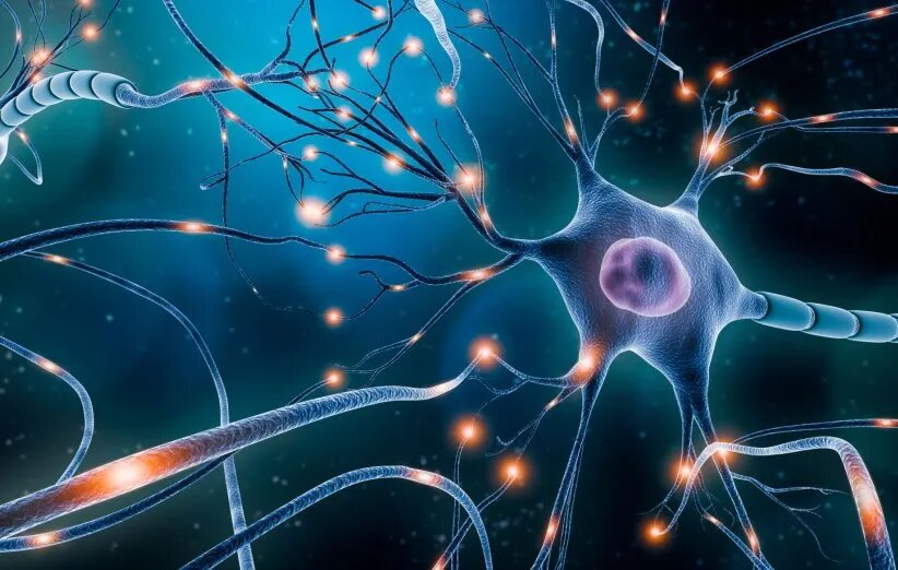 تالار اسرارآمیز مغز؛