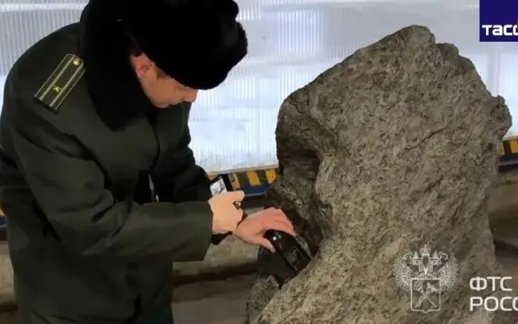 سنگ باغچه در واقع یک شهابسنگ ۴ میلیارد ساله بود | عکس