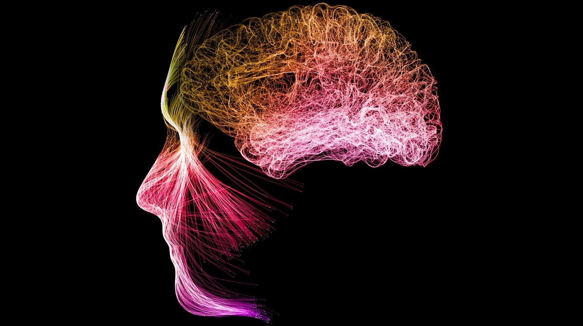 مدیتیشن و مغز