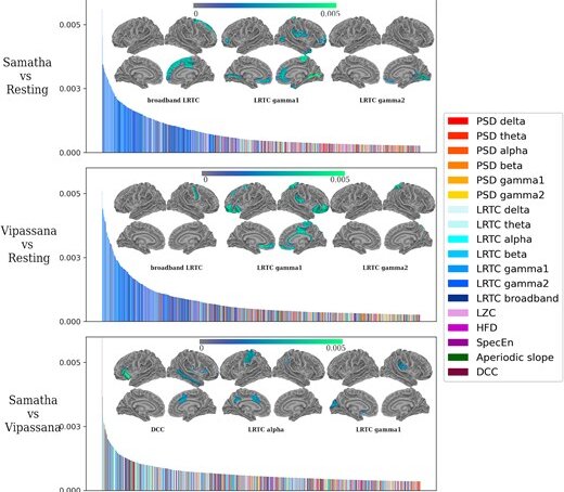 راز ذهن آرام | مدیتیشن با مغز ما چه می‌کند؟