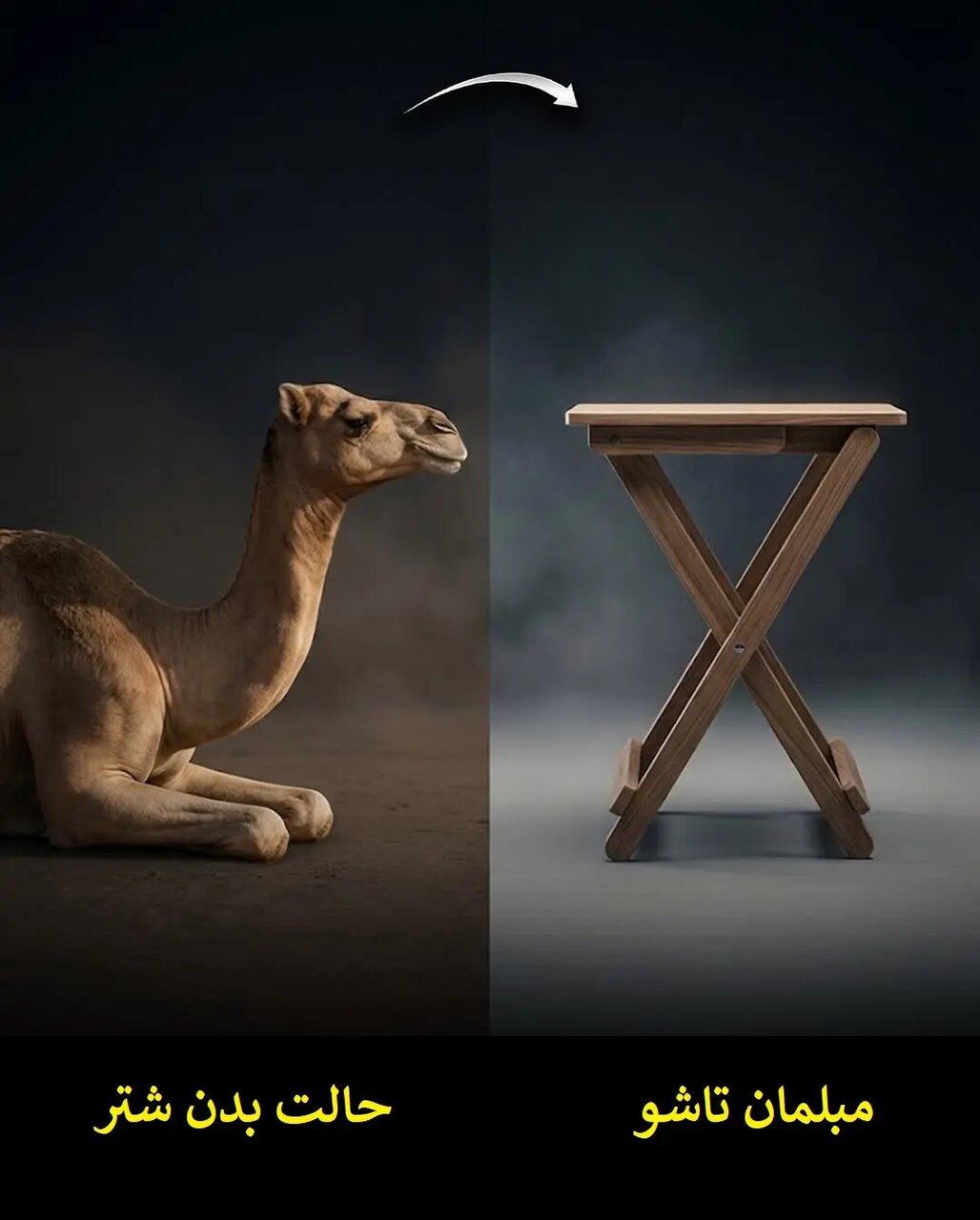 زیست الگوبرداری؛ پیوند هنر طراحی و مهندسی طبیعت | عکس