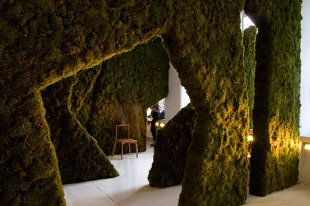 خداحافظی با سیمان و آجر | حل بحران مسکن و آلودگی هوا با سکونت در قلب یک موجود زنده