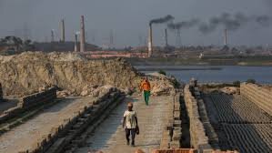 خداحافظی با سیمان و آجر | حل بحران مسکن و آلودگی هوا با سکونت در قلب یک موجود زنده