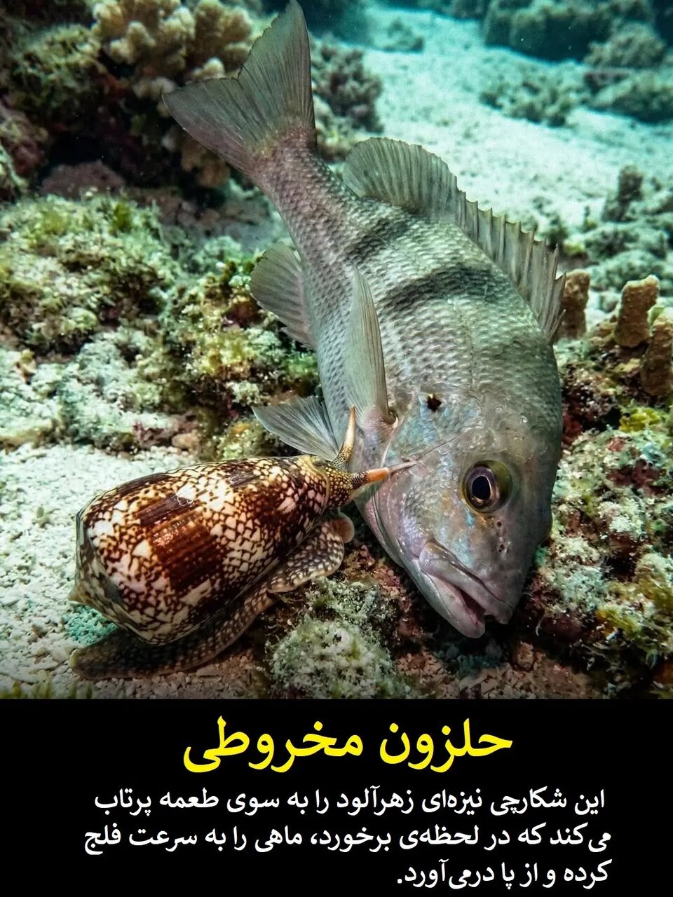 علم هنوز در حسرت این قدرت‌های فرابشری است | عکس