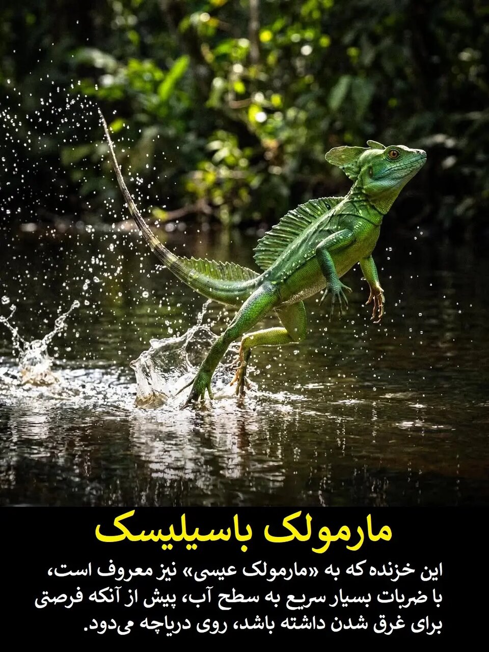 علم هنوز در حسرت این قدرتهای فرابشری است | عکس