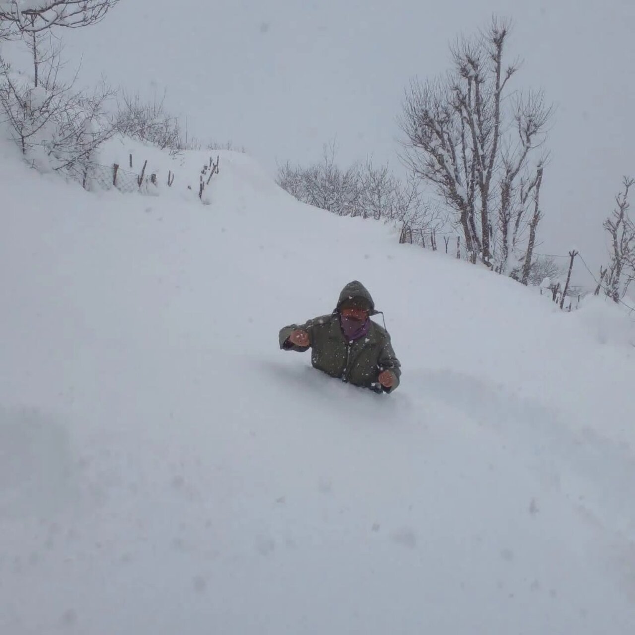 برفی که خاطره‌ ها را زنده کرد + عکس و فیلم