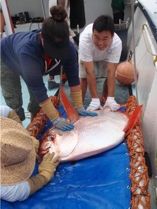 5312913.jpg?ts=1770972965000