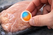 تشخیص گوشت فاسد با این فناوری نانویی