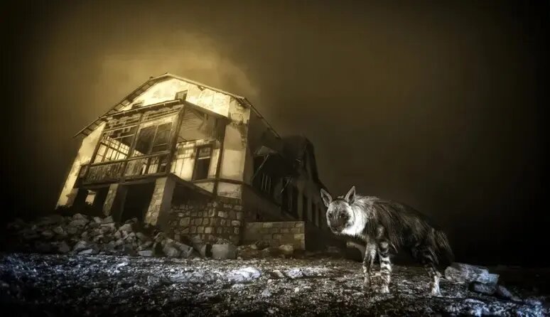 بازدیدکننده شهر ارواح؛ عکسی وهم‌انگیز که پس از ۱۰ سال انتظار گرفته شد | عکس