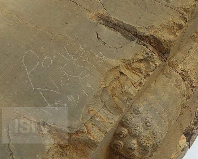 ورود افراد ناشناس با شیئ نوک تیز به تخت جمشید و ... | ببینید