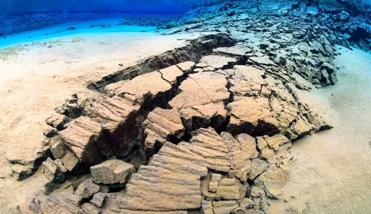 موجودات میکروسکوپی