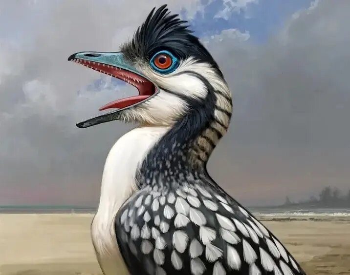 آرکئوپتریکس؛ پرندهای که ۱۵۰ میلیون سال قبل زندگی میکرد | عکس