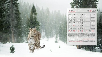 تقویم اسفند ۱۴۰۴ ؛ اسفند چند روز تعطیلی داریم؟