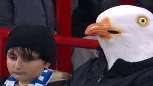 ماسک عجیب هوادران برایتون در بازی با لیورپول + ویدئو