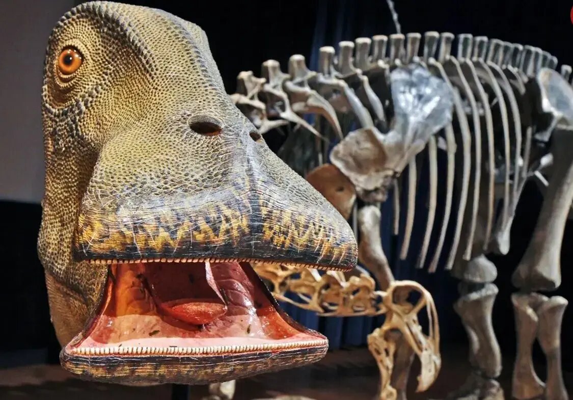 نیگِرسوروس؛ دایناسوری با ۵۰۰ دندان و دهانی شبیه جاروبرقی!