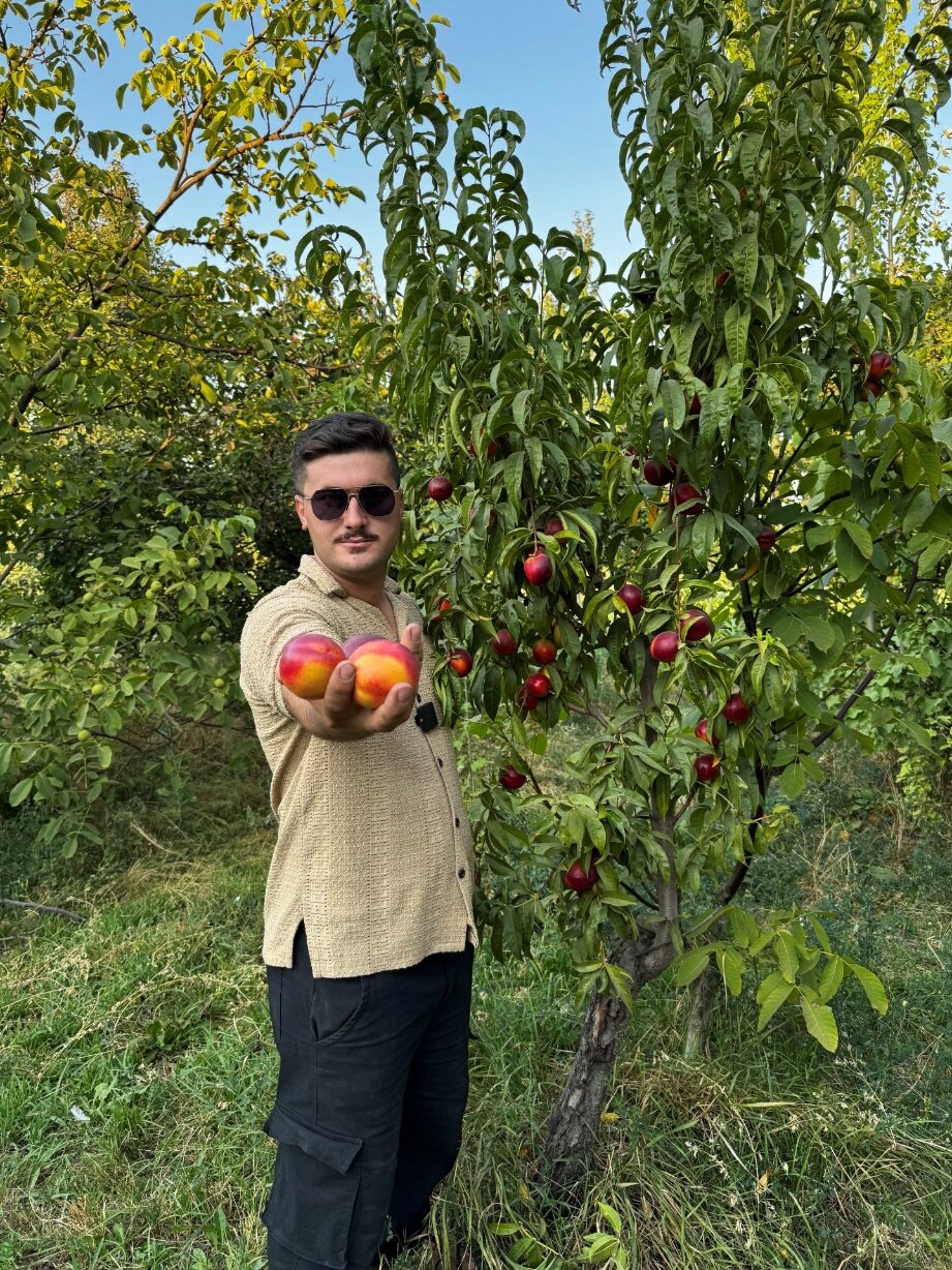 اهمیت انتخاب نهال استاندارد و اصلاحشده در نهالستان غرب نهال