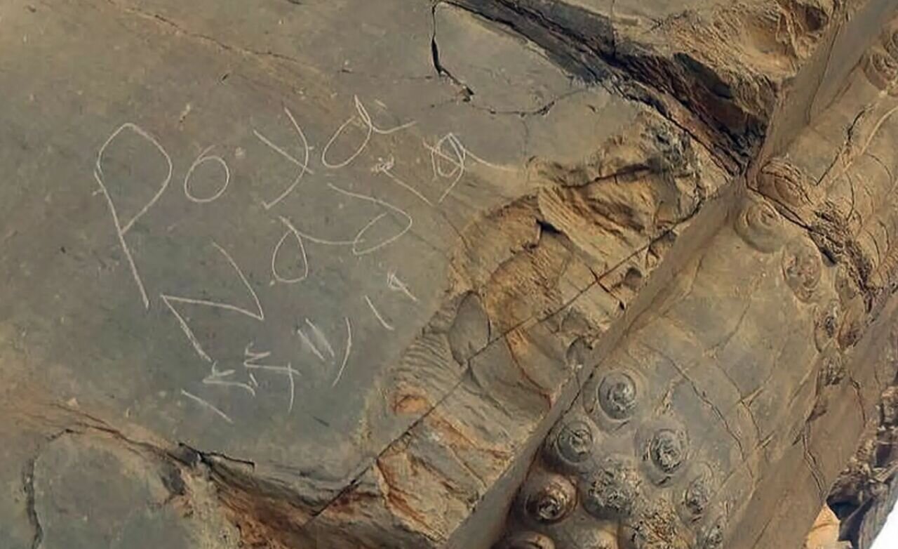 دلیل یادگاری نویسی روی تخت جمشید چه بود؟ | این تیپ شخصیت‌ها برای آثار تاریخی خطرناک هستند