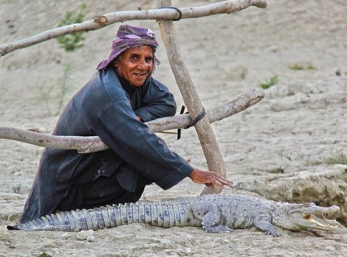 در خدمت گاندو | گاندو، مصیبتِ انقراض، عمو شجره و باقی دوستان