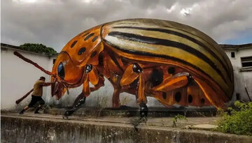 شاهکارهای سه‌بعدی نقاش پرتغالی | عکس